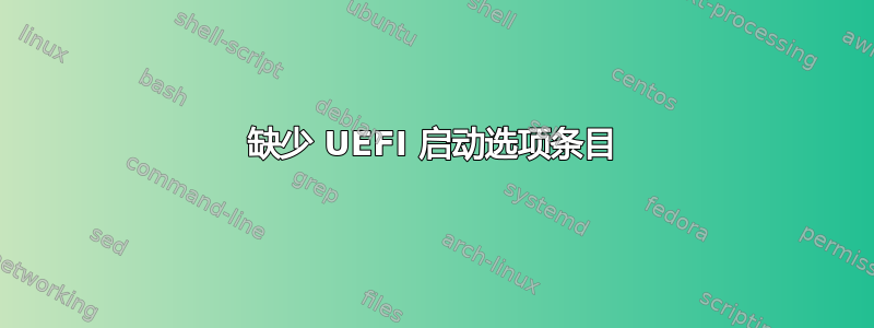 缺少 UEFI 启动选项条目