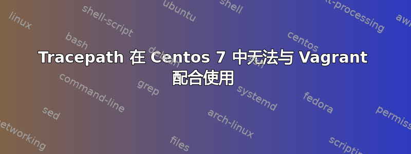 Tracepath 在 Centos 7 中无法与 Vagrant 配合使用