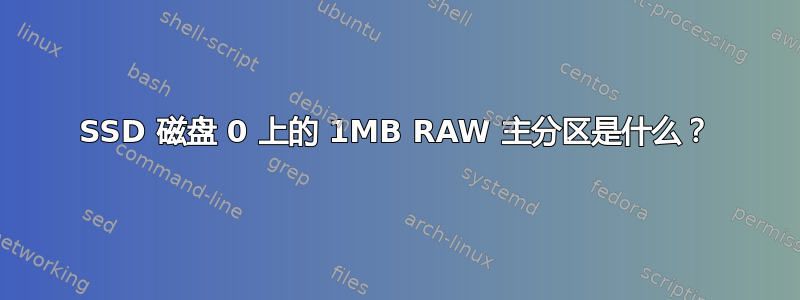 SSD 磁盘 0 上的 1MB RAW 主分区是什么？