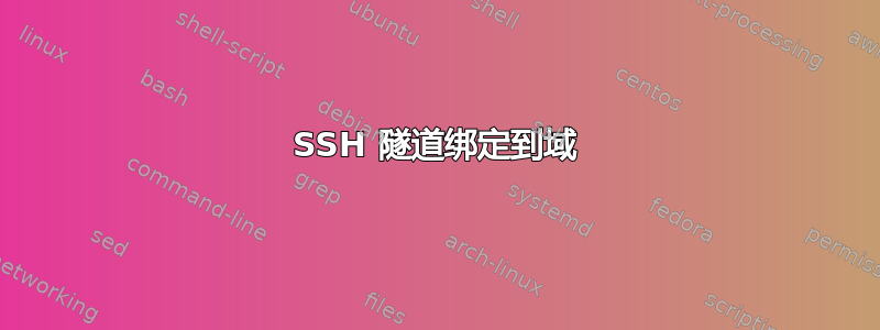 SSH 隧道绑定到域