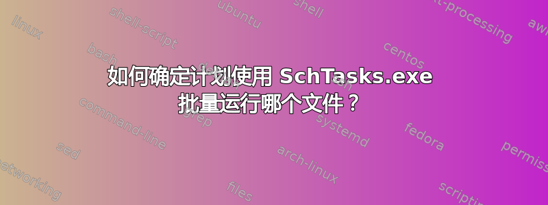 如何确定计划使用 SchTasks.exe 批量运行哪个文件？