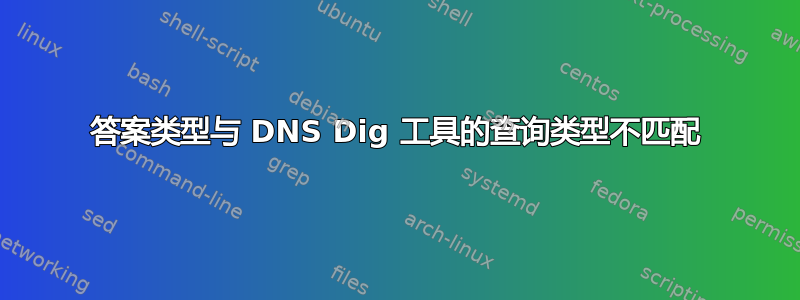 答案类型与 DNS Dig 工具的查询类型不匹配