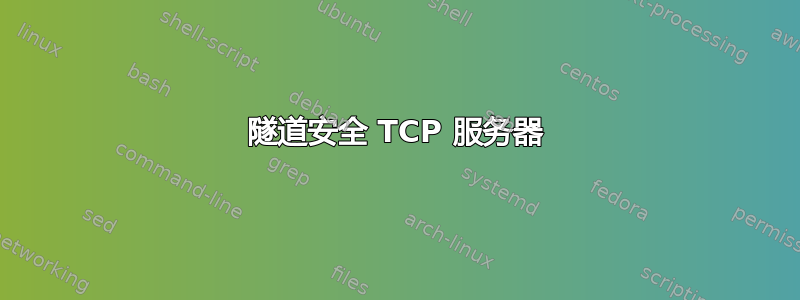 隧道安全 TCP 服务器