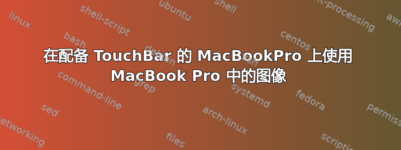 在配备 TouchBar 的 MacBookPro 上使用 MacBook Pro 中的图像