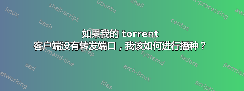 如果我的 torrent 客户端没有转发端口，我该如何进行播种？