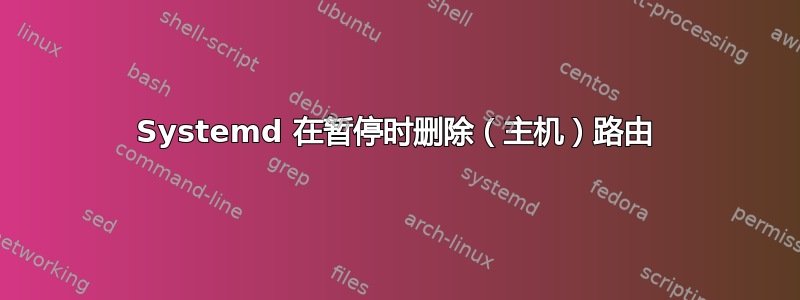 Systemd 在暂停时删除（主机）路由