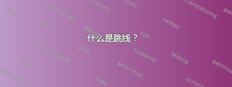 什么是跳线？ 