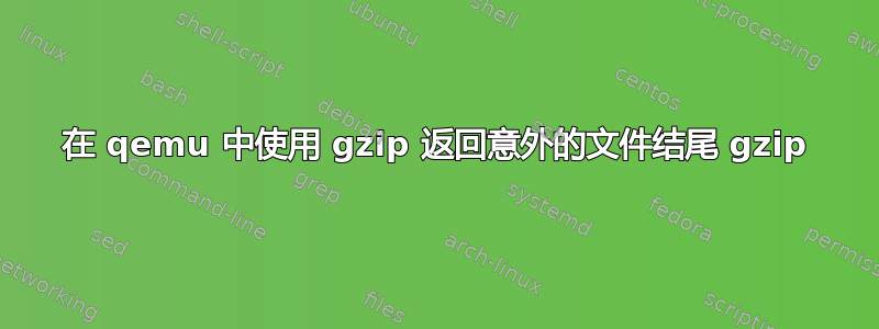 在 qemu 中使用 gzip 返回意外的文件结尾 gzip