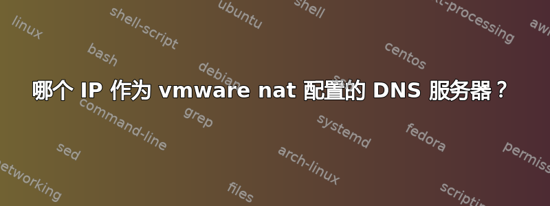 哪个 IP 作为 vmware nat 配置的 DNS 服务器？