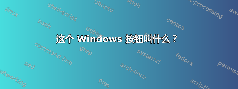 这个 Windows 按钮叫什么？