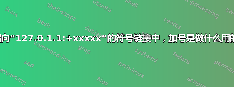 在指向“127.0.1.1:+xxxxx”的符号链接中，加号是做什么用的？