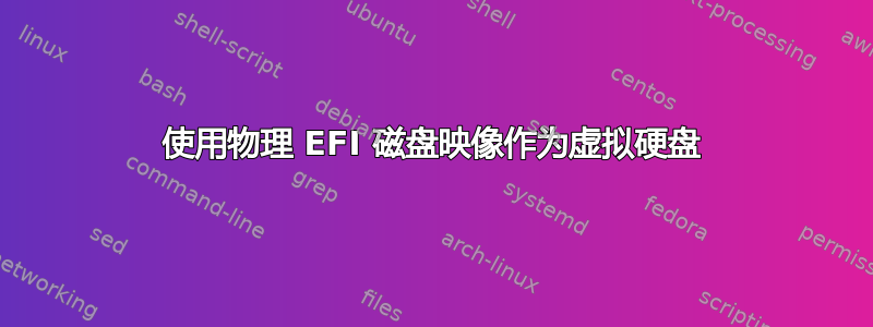 使用物理 EFI 磁盘映像作为虚拟硬盘