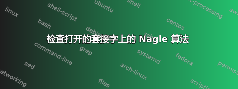 检查打开的套接字上的 Nagle 算法