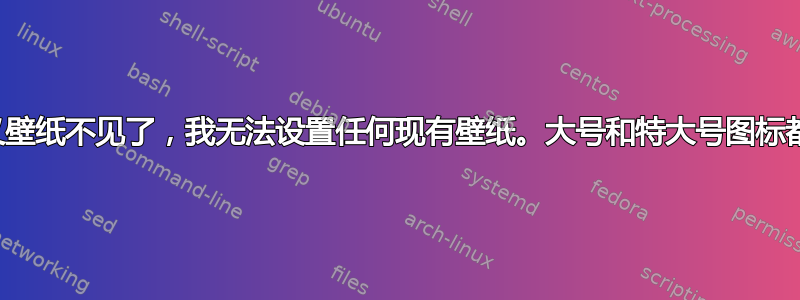 我的自定义壁纸不见了，我无法设置任何现有壁纸。大号和特大号图标都是空白的