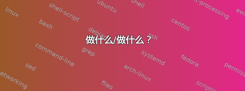 做什么/做什么？ 