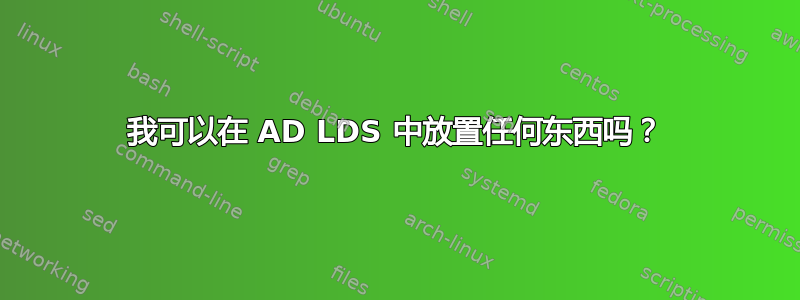 我可以在 AD LDS 中放置任何东西吗？