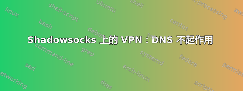 Shadowsocks 上的 VPN：DNS 不起作用