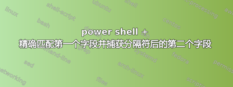 power shell + 精确匹配第一个字段并捕获分隔符后的第二个字段