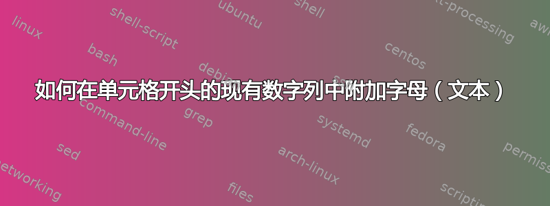 如何在单元格开头的现有数字列中附加字母（文本）