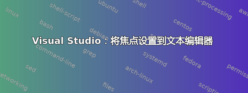 Visual Studio：将焦点设置到文本编辑器