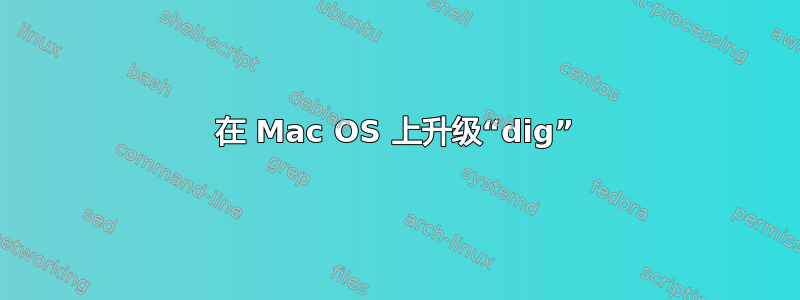 在 Mac OS 上升级“dig”