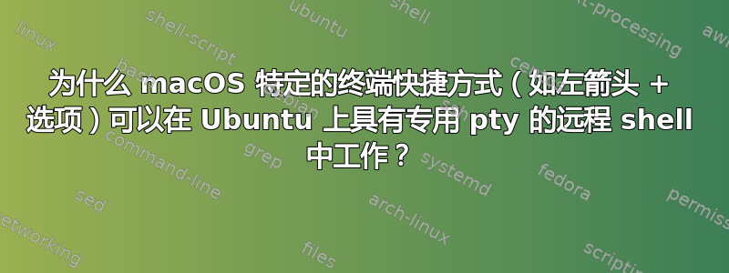 为什么 macOS 特定的终端快捷方式（如左箭头 + 选项）可以在 Ubuntu 上具有专用 pty 的远程 shell 中工作？