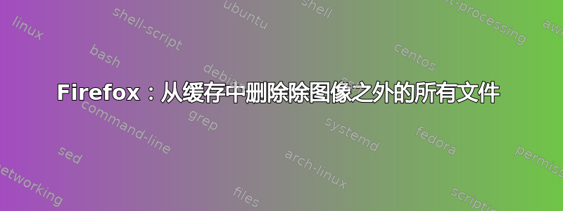 Firefox：从缓存中删除除图像之外的所有文件