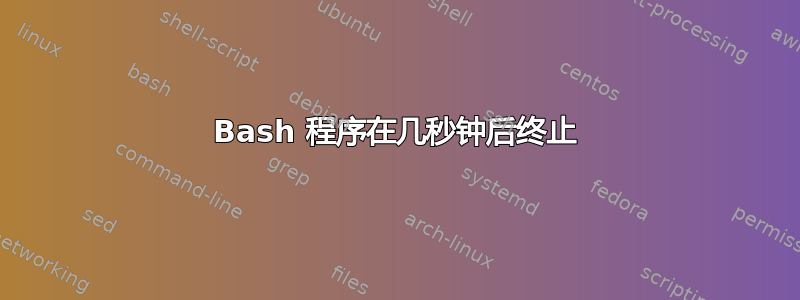 Bash 程序在几秒钟后终止