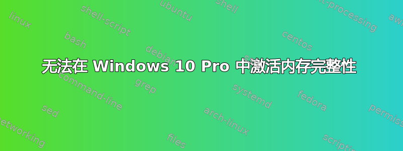 无法在 Windows 10 Pro 中激活内存完整性