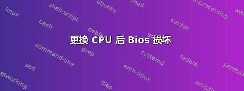 更换 CPU 后 Bios 损坏