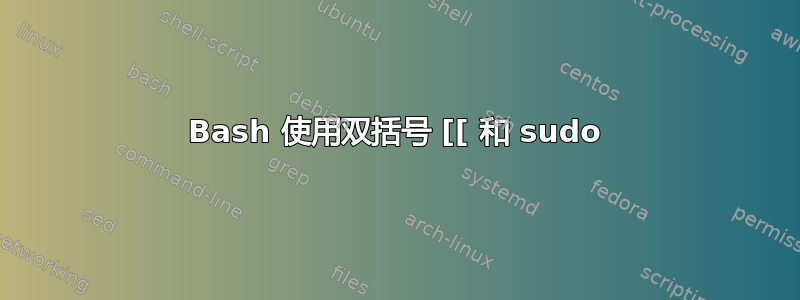 Bash 使用双括号 [[ 和 sudo