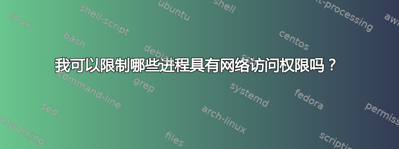 我可以限制哪些进程具有网络访问权限吗？