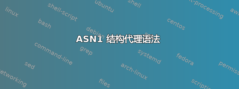 ASN1 结构代理语法