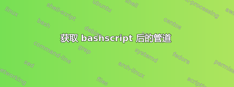 获取 bashscript 后的管道