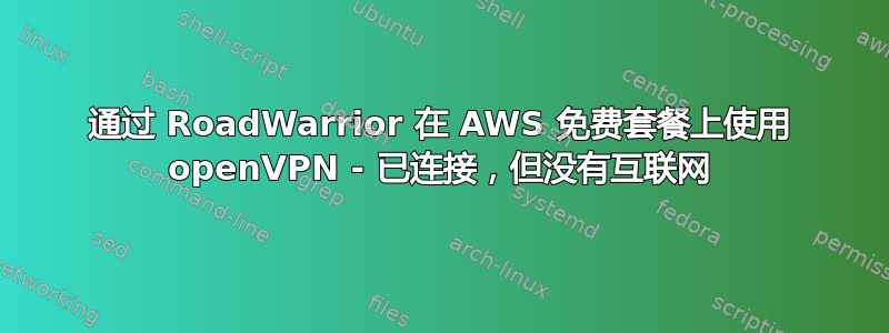 通过 RoadWarrior 在 AWS 免费套餐上使用 openVPN - 已连接，但没有互联网