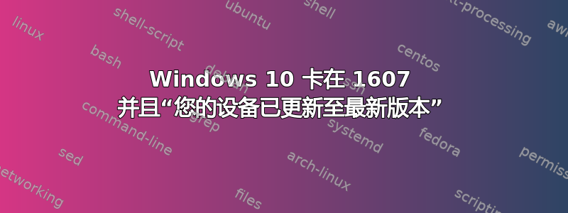 Windows 10 卡在 1607 并且“您的设备已更新至最新版本”