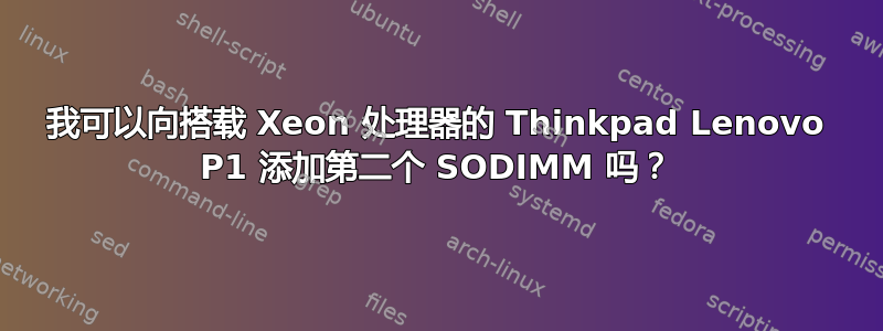 我可以向搭载 Xeon 处理器的 Thinkpad Lenovo P1 添加第二个 SODIMM 吗？