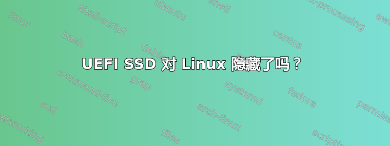 UEFI SSD 对 Linux 隐藏了吗？