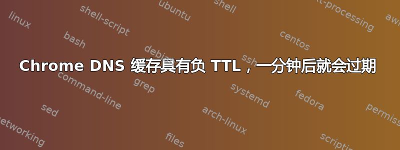 Chrome DNS 缓存具有负 TTL，一分钟后就会过期