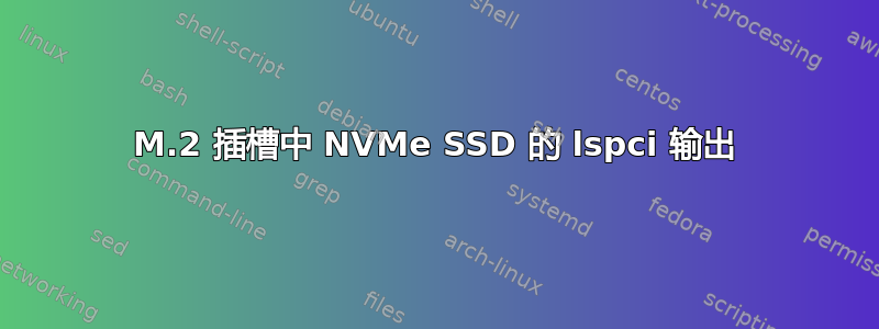 M.2 插槽中 NVMe SSD 的 lspci 输出