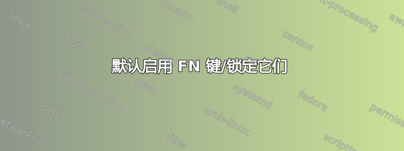 默认启用 FN 键/锁定它们