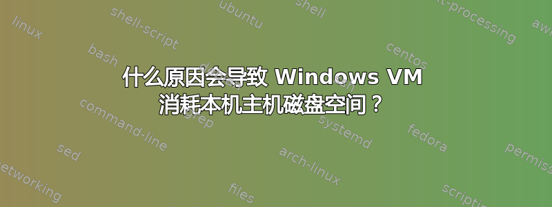 什么原因会导致 Windows VM 消耗本机主机磁盘空间？