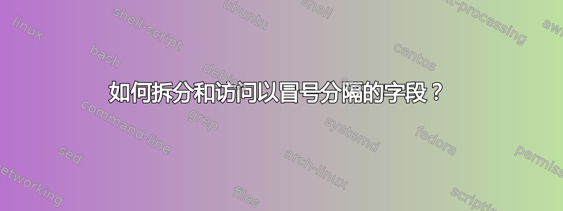 如何拆分和访问以冒号分隔的字段？