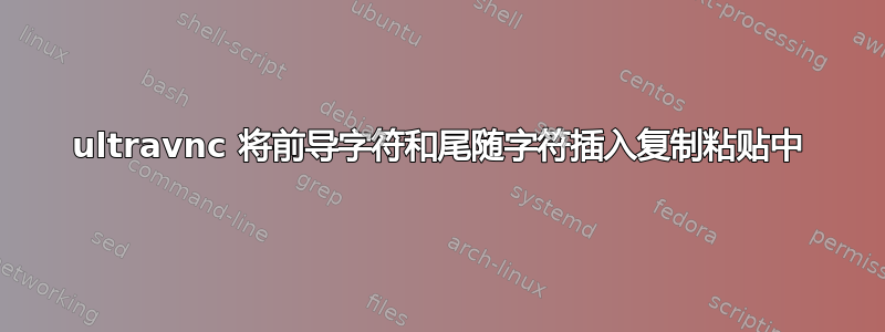 ultravnc 将前导字符和尾随字符插入复制粘贴中