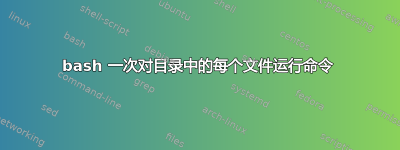 bash 一次对目录中的每个文件运行命令