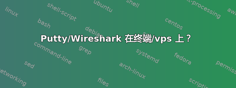 Putty/Wireshark 在终端/vps 上？