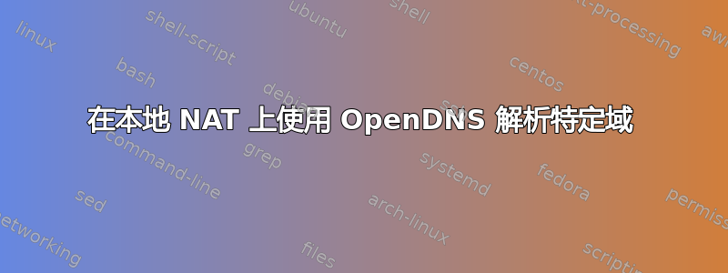 在本地 NAT 上使用 OpenDNS 解析特定域