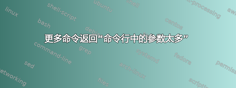 更多命令返回“命令行中的参数太多”