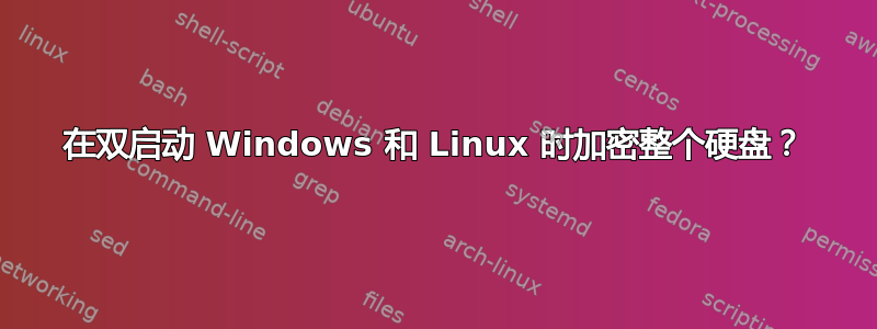 在双启动 Windows 和 Linux 时加密整个硬盘？