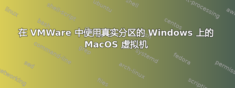 在 VMWare 中使用真实分区的 Windows 上的 MacOS 虚拟机